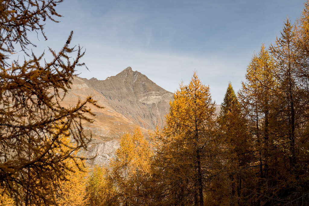 Aiguille de la Grande Sassière à l'automne