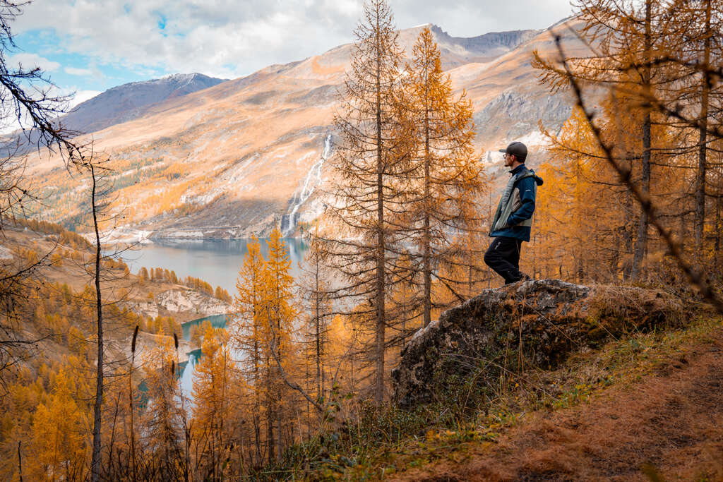 Randonneur dans le Bois de la Laye à Tignes à l'automne